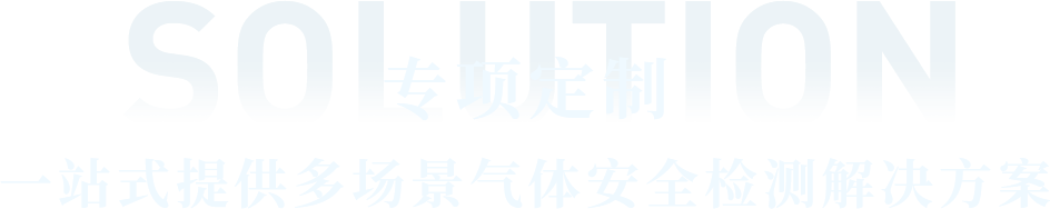 解決方案文字